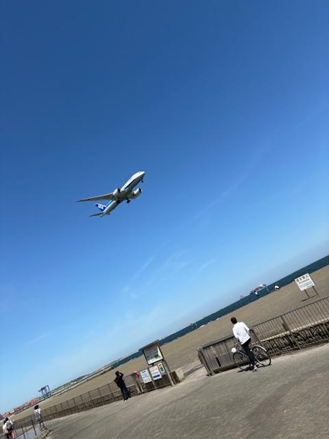 6月　おたより