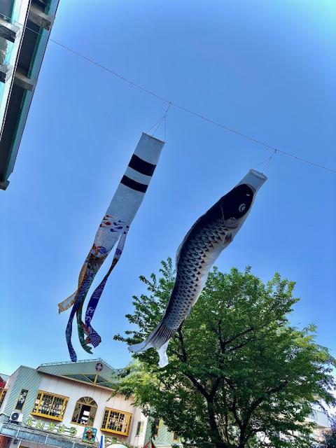 5月　おたより
